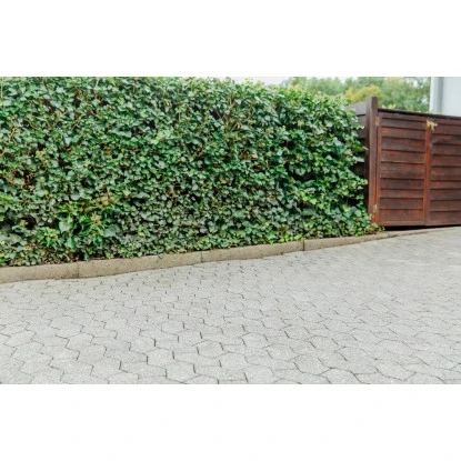 Ultrament Betonlasur Pflaster Frisch Grau 2,5 L 6 Ultrament Betonlasur Pflaster Frisch Grau 2,5 L – Bild 4