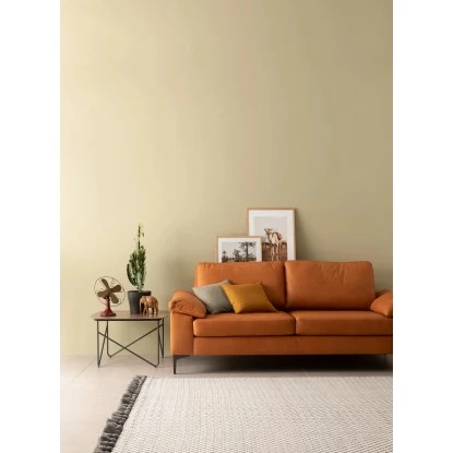 Schöner Wohnen Designfarben Verträumtes Wüstengelb Matt 2,5 L 4 Schöner Wohnen Designfarben Verträumtes Wüstengelb Matt 2,5 L – Bild 2