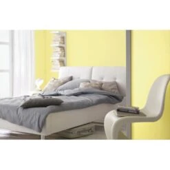 Alpina Farbrezepte Lichtes Gelb Matt 2,5 Liter -Hausfarben Rabatte 812078 picture 3