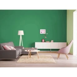 Alpina Farbrezepte Wildes Paradies Matt 2,5 Liter -Hausfarben Rabatte 942835 4983 1